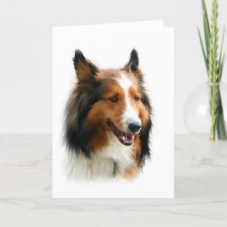 Leeg Wenskaart Sheltie Kaart