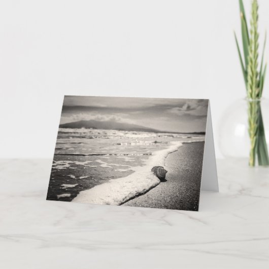 Leeg Wenskaart - zeeshell op strand Kaart (Voorkant)