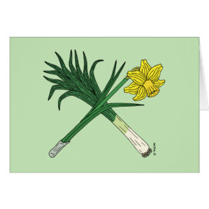 Leek en Daffodil Crossed