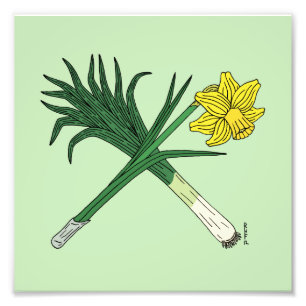 Leek en Daffodil Crossed Foto Afdruk