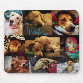 Leeloo & Winston Montage Mousepad Muismat