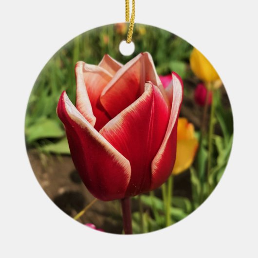 Leen Van Der Mark Tulip, Oregon Keramisch Ornament (Voorkant)