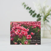 Leen Van Der Mark Tulips, Oregon Briefkaart (Staand voorkant)
