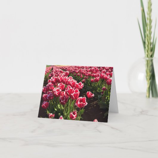 Leen Van Der Mark Tulips, Oregon Kaart (Voorkant)