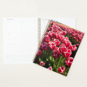 Leen Van Der Mark Tulips, Oregon Planner (Display)