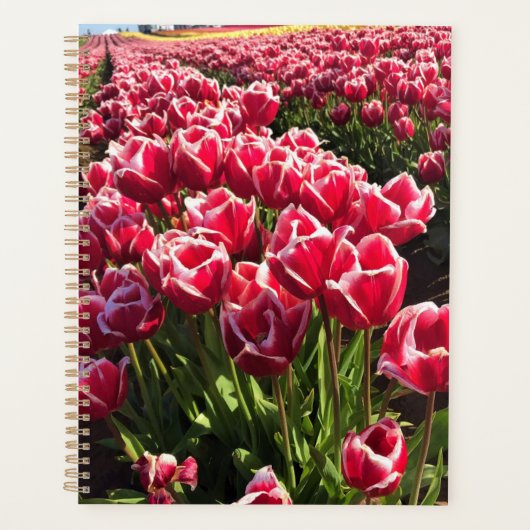Leen Van Der Mark Tulips, Oregon Planner (Voorkant)