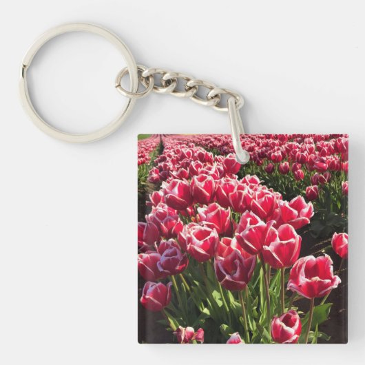Leen Van Der Mark Tulips, Oregon Sleutelhanger (voorkant)