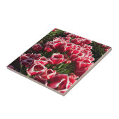 Leen Van Der Mark Tulips, Oregon Tegeltje (Zijkant)