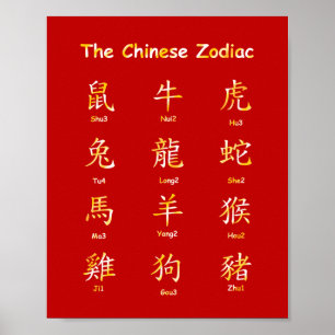 Leer Chinese dierdieren lezen met Pin Yin Poster