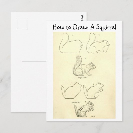  Leer hoe je een eekhoorn en een chipmunk tekent Briefkaart (Voorkant / Achterkant)