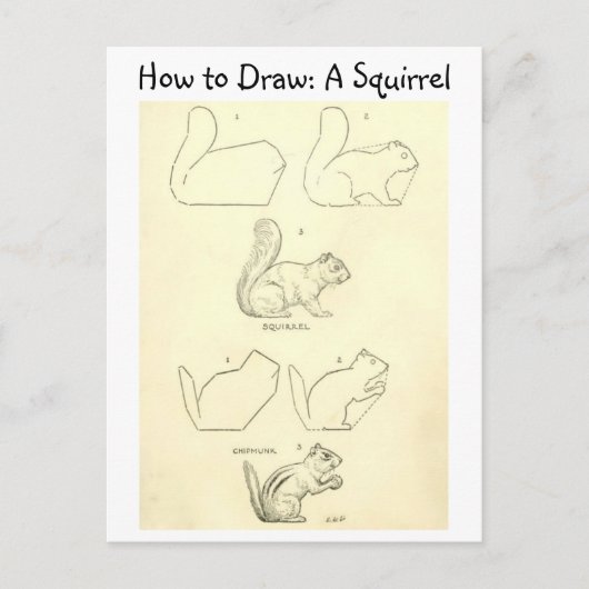  Leer hoe je een eekhoorn en een chipmunk tekent Briefkaart (Voorkant)