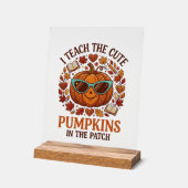 Leer Mopshagedis Patch Halloween Zonnebril_1 Acryl Bord (Hoek)