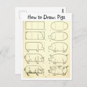 Leer om Varkens Briefkaart te tekenen (Voorkant / Achterkant)