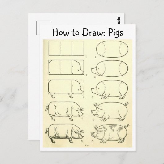  Leer om Varkens Briefkaart te tekenen (Voorkant / Achterkant)