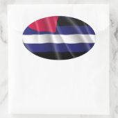 LEER PRIDE OVALE STICKER (Tas)