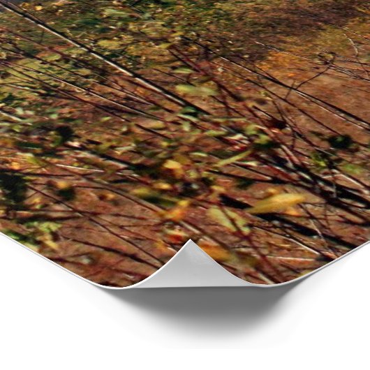 Leer van Fouten Poster (Hoek)