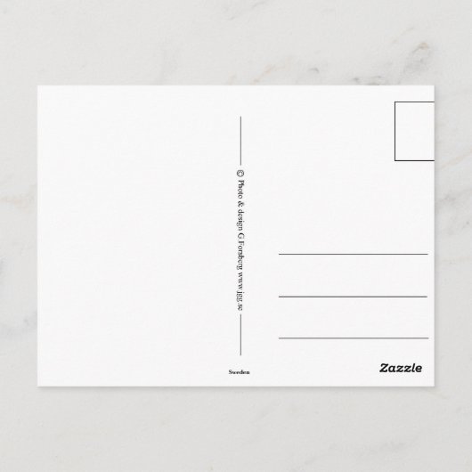 Leer van gisteren.... briefkaart (Achterkant)