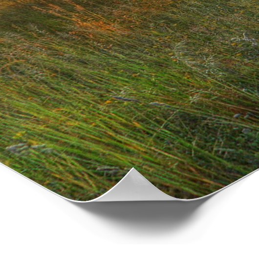 Leer van gisteren...... poster (Hoek)