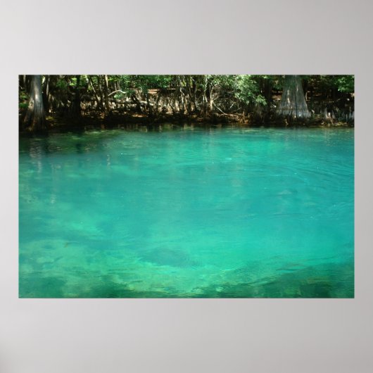 Leerafdrukken beheren poster (Voorkant)