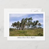 Leerbomen op het Briefkaart van het Ashdown Forest (Voorkant / Achterkant)