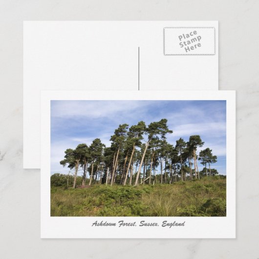 Leerbomen op het Briefkaart van het Ashdown Forest (Voorkant / Achterkant)