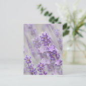 Leerdromen. Briefkaart (Staand voorkant)