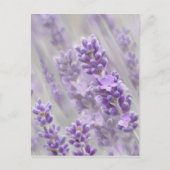 Leerdromen. Briefkaart (Voorkant)