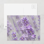 Leerdromen. Briefkaart (Voorkant / Achterkant)