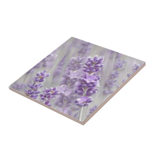 Leerdromen. Tegeltje (Zijkant)