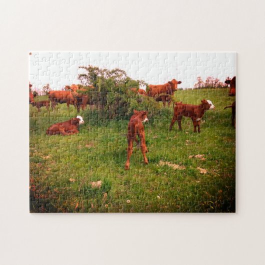 Leerkalveren Legpuzzel (Horizontaal)