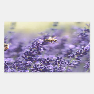 Leerlavender met bijen Paarse Floral Rechthoekige Sticker