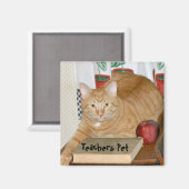 Leerlerarenet Magneet (Voorkant / Achterkant)