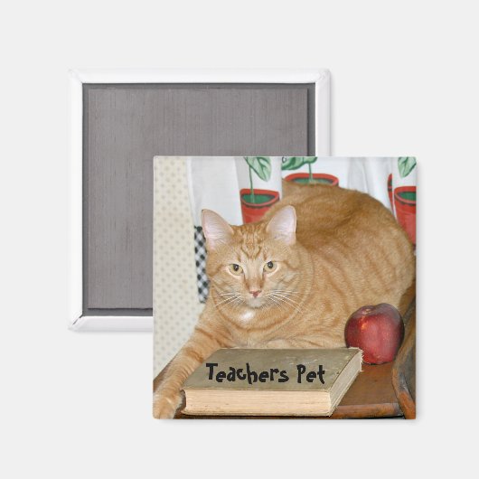 Leerlerarenet Magneet (Voorkant / Achterkant)