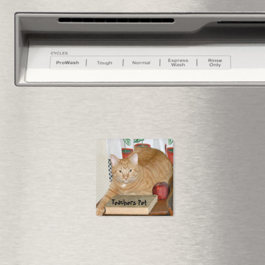 Leerlerarenet Magneet (Insitu (Vaatwasser))