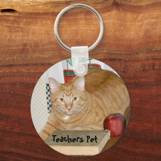 Leerlerarenet Sleutelhanger (Voorkant)