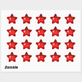 Leerster Red Apple Star Shape Sticker (Vel)
