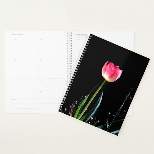 Leertullplant Planner (Display)
