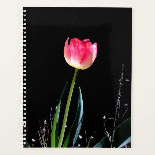 Leertullplant Planner (Voorkant)