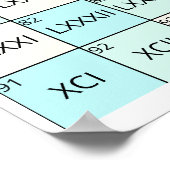 Leerzame Romeinse cijfers Poster (Hoek)