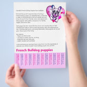 Lees beoordelingen van French Bulldog Puppy Flyer (Hand)