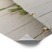 Lees Cat Skateboard Art Print (Hoek)