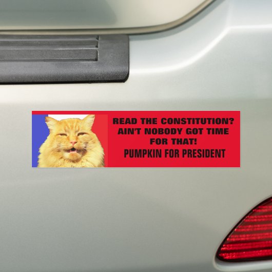 Lees de Grondwet? Niemand....Pumpkin Bumpersticker (Op auto)