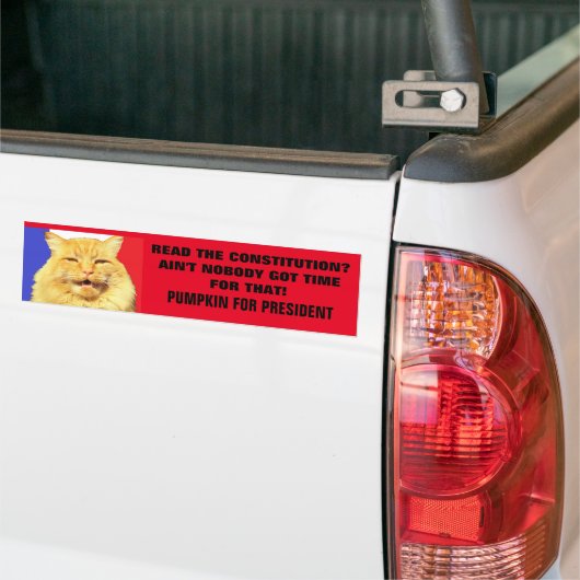 Lees de Grondwet? Niemand....Pumpkin Bumpersticker (Op Truck)