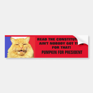 Lees de Grondwet? Niemand....Pumpkin Bumpersticker