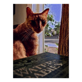 Lees mijn gedachten, Cat Poster