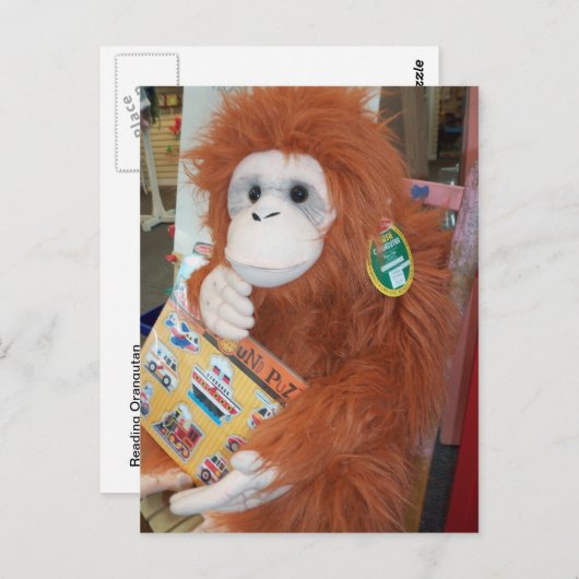 Leesend Orangutan Briefkaart (Voorkant / Achterkant)