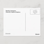 Leesend Orangutan Briefkaart (Achterkant)