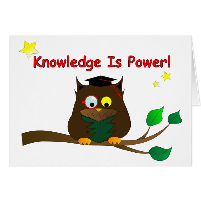 Leesend Wise Owl (Voorkant Horizontaal)