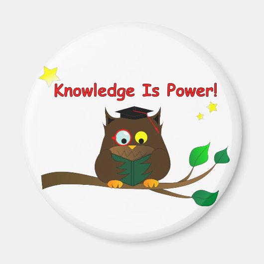 Leesend Wise Owl Magneet (Voorkant)