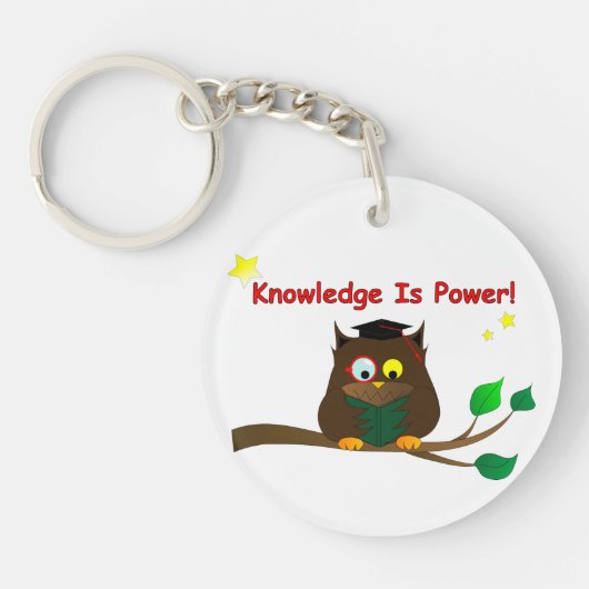 Leesend Wise Owl Sleutelhanger (Voorkant)